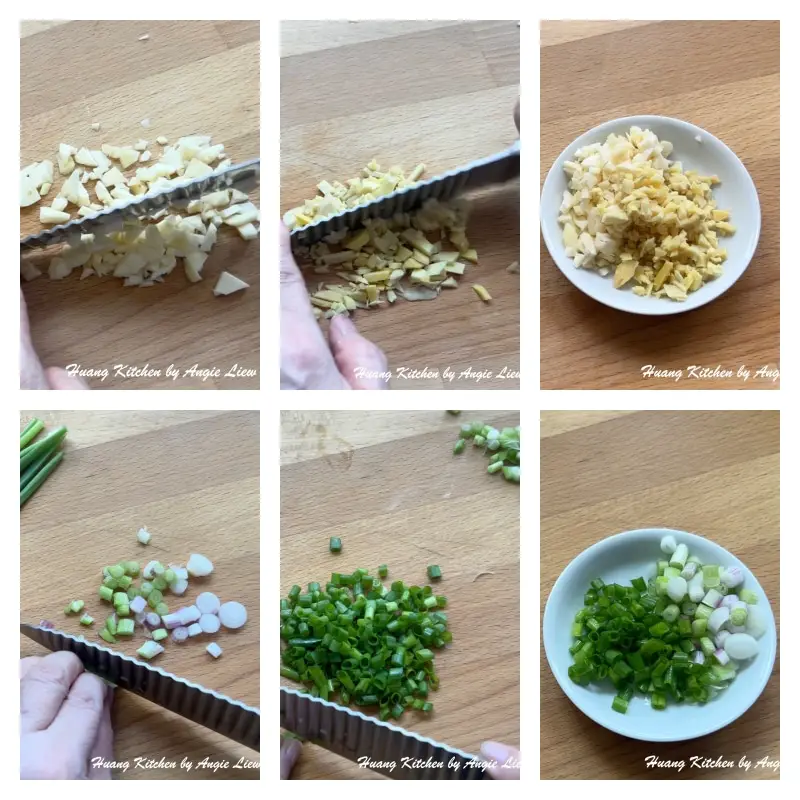 Chop garlic and ginger. Dice white and green spring onions.