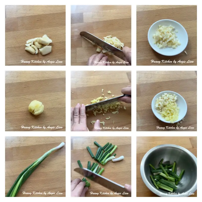 Minced garlic, ginger and cut spring onion into strips.