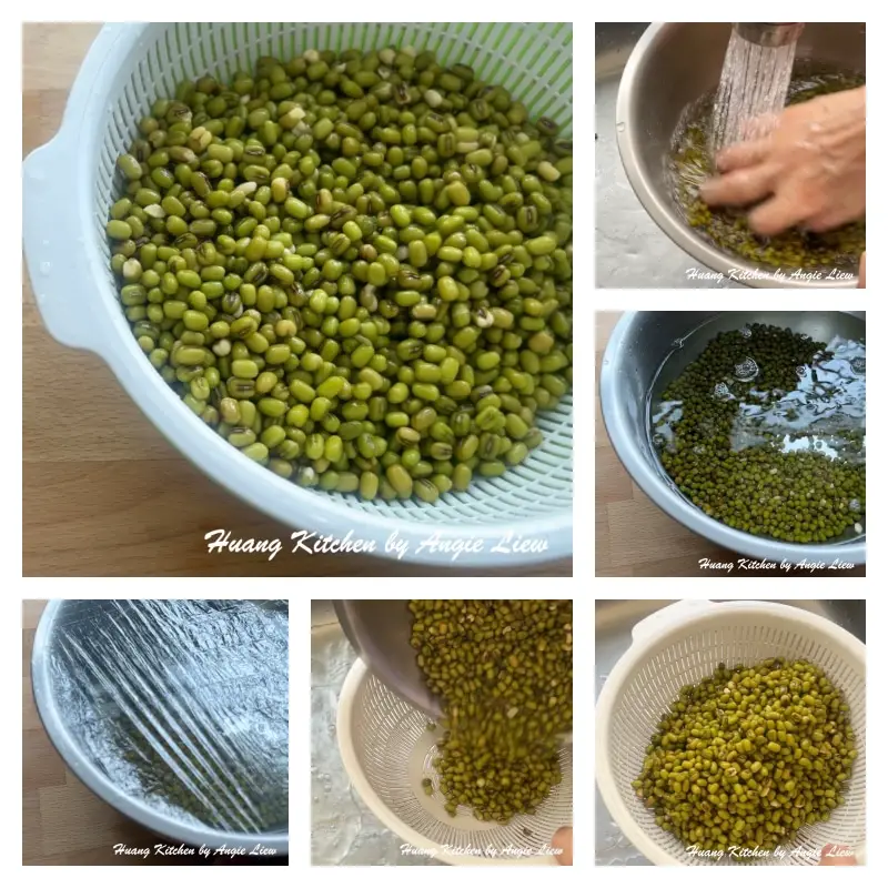 Prepare Mung Bean.